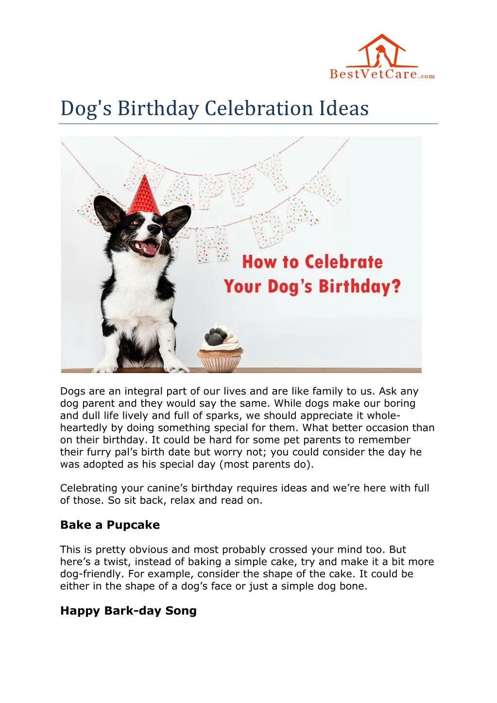 dog s birthday celebration ideas
