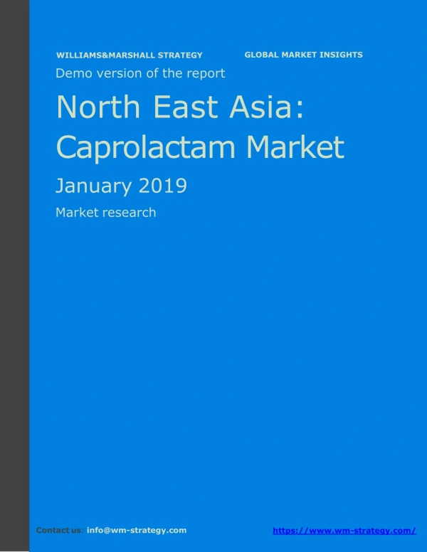 WMStrategy Demo North East Asia Caprolactam Market January 2019