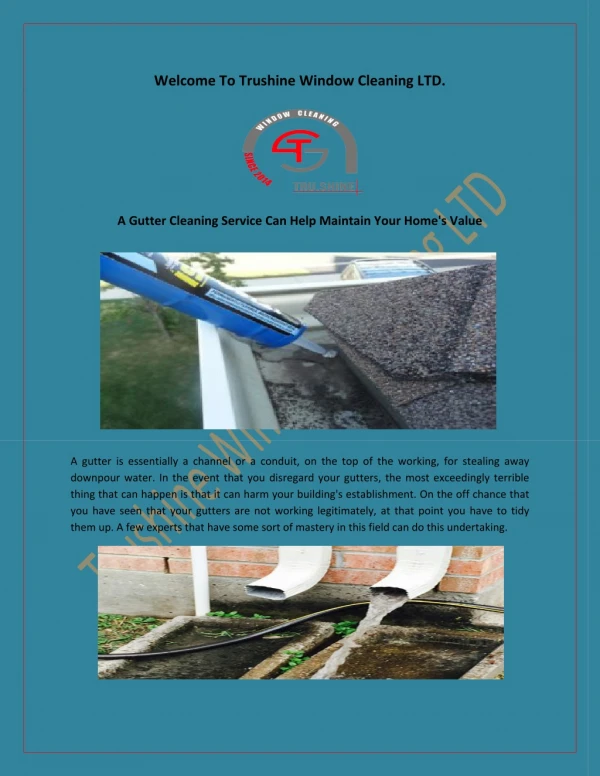 Gutter Cleaning Service in Houston