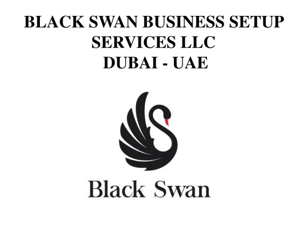 Black Swan Business Setup Service Dubai - UAE