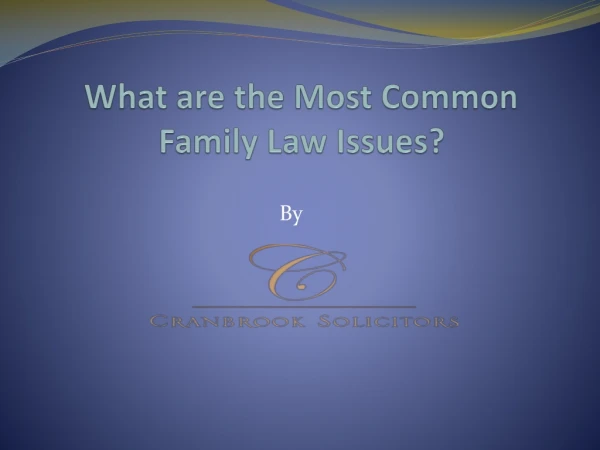 The Most Common Family Law Issues