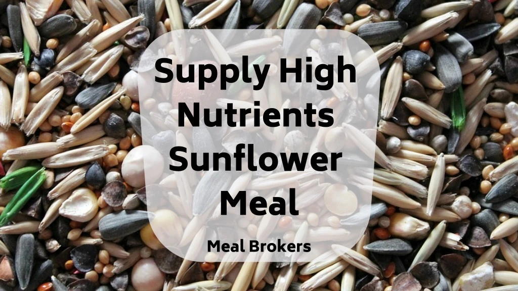 supply high nutrients sunflower meal meal brokers