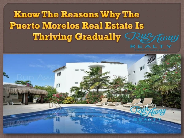 Know The Reasons Why The Puerto Morelos Real Estate Is Thriving Gradually