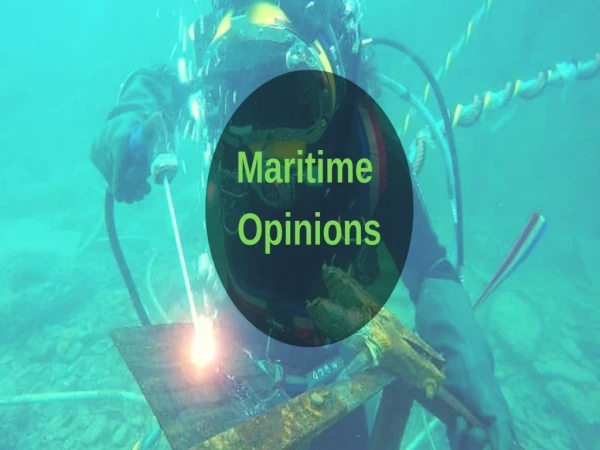 Diving Los Angeles - Maritime Opinions