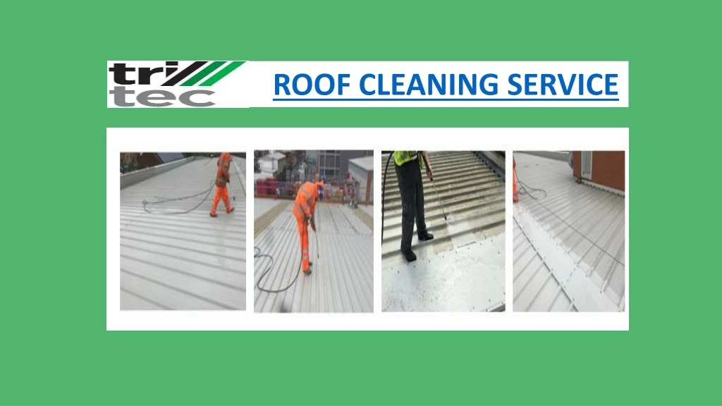 roof cleaning service