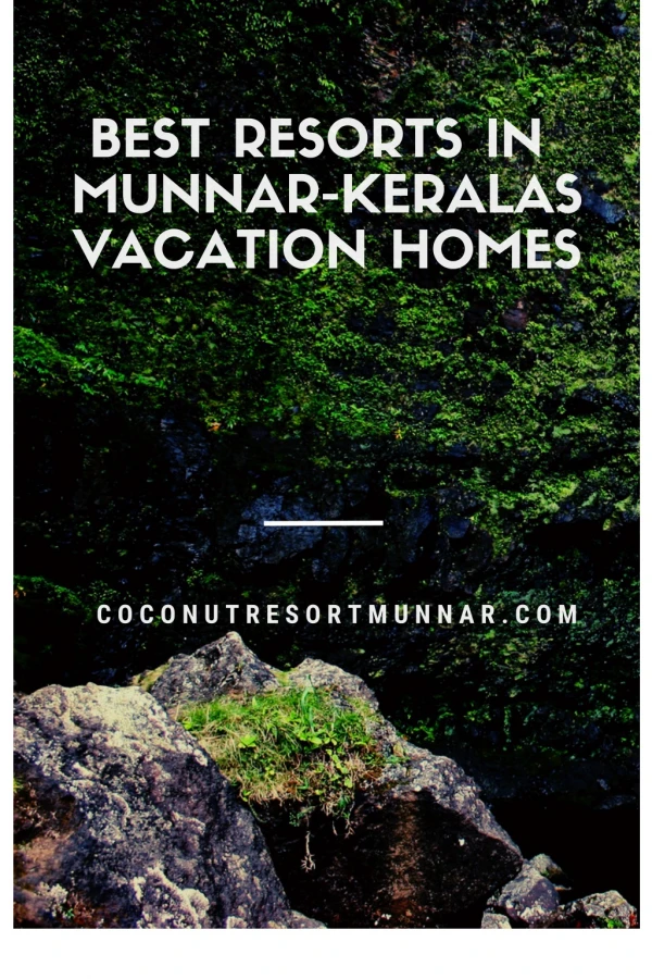 Best resorts in Munnar- Kerala's vacation homes