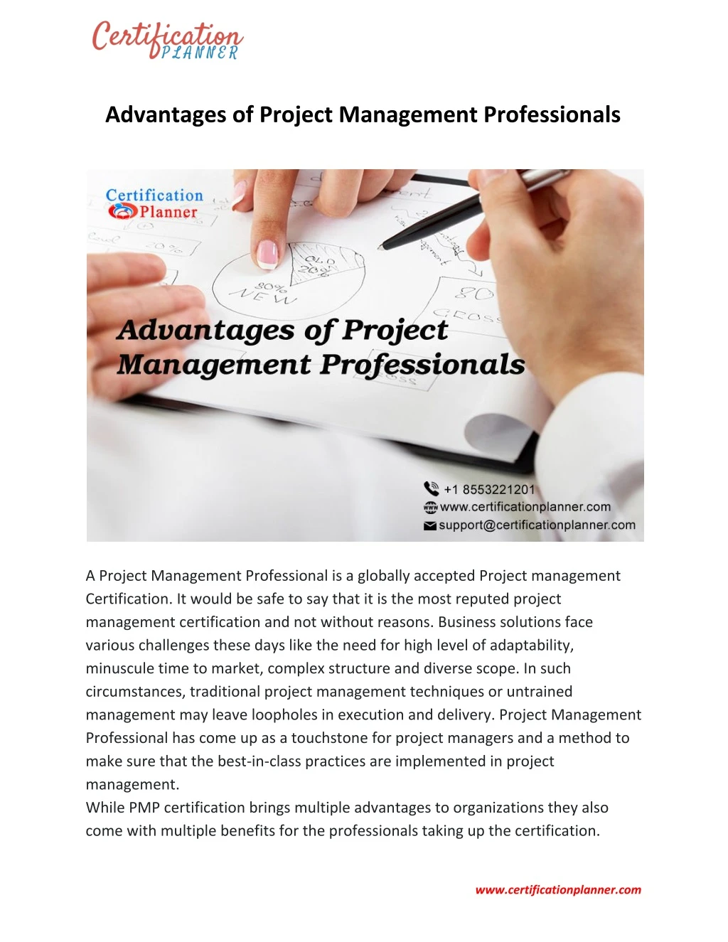advantages of project management professionals