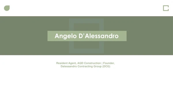 Angelo D’Alessandro - Experienced Professional From Michigan