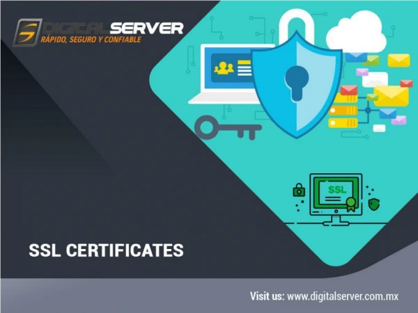 SSL Certificates obligatory for small and large business!