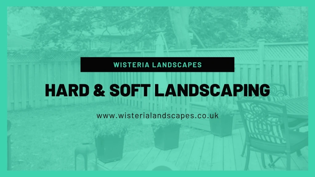 wisteria landscapes