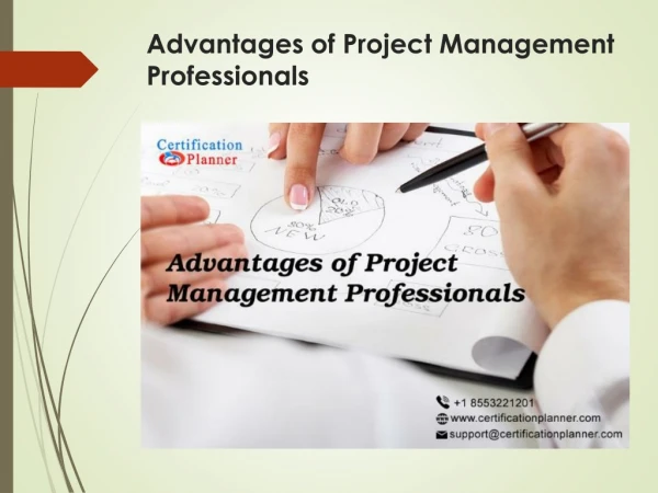 advantages of project management professionals