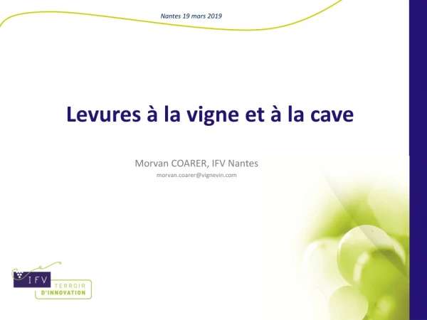 Levures indigènes vs Levures sèches actives (oenologiques)