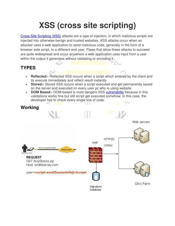 XSS (cross site scripting)