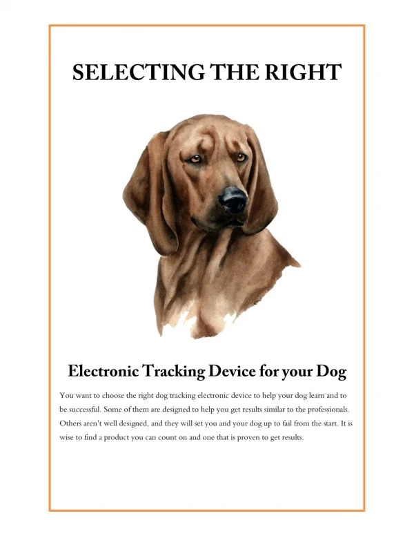 Selecting the Right Electronic Tracking Device for your Dog
