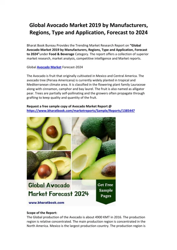 Global Avocado Market: Analysis & Forecast 2019-2024