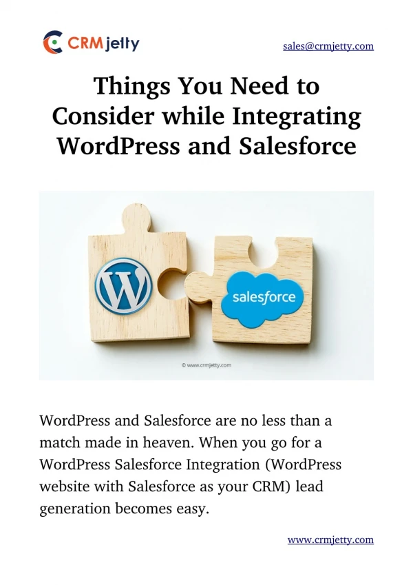 Salesforce WordPress Integration: Things You Need to Consider