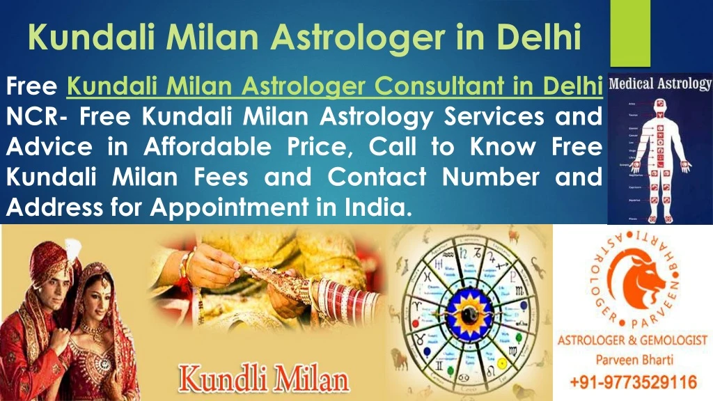 kundali milan astrologer in delhi
