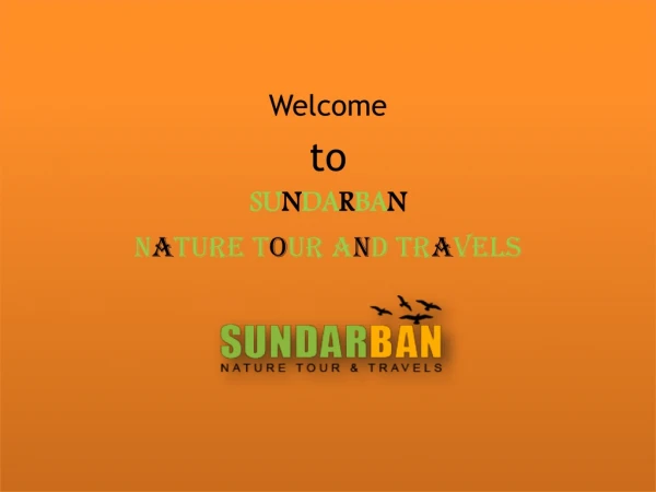 Best Tour Operators For Sundarban