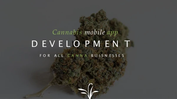 Cannabis Mobile App Development - Build Your Empire