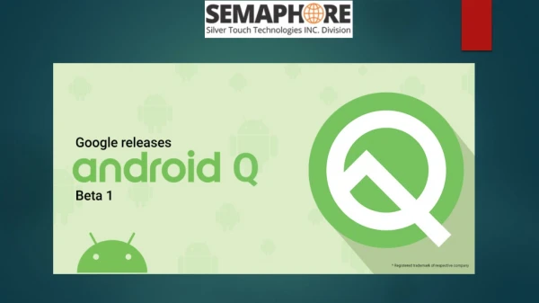 All You Need to Know About Android Q Beta Release for Pixels