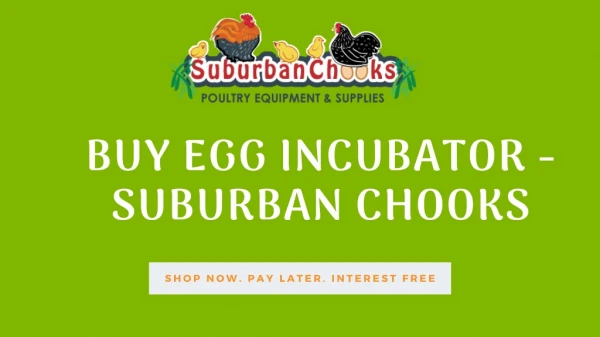 Buy Egg Incubator - Suburban Chooks