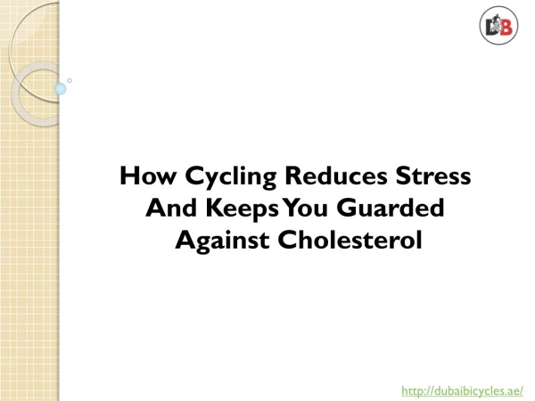 How Cycling Reduces Stress And Keeps You Guarded Against Cholesterol