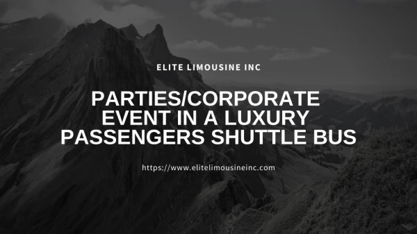 PARTIES/CORPORATE EVENT IN A LUXURY PASSENGERS SHUTTLE BUS