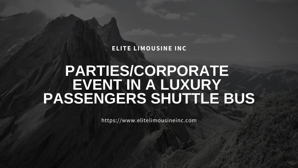elite limousine inc