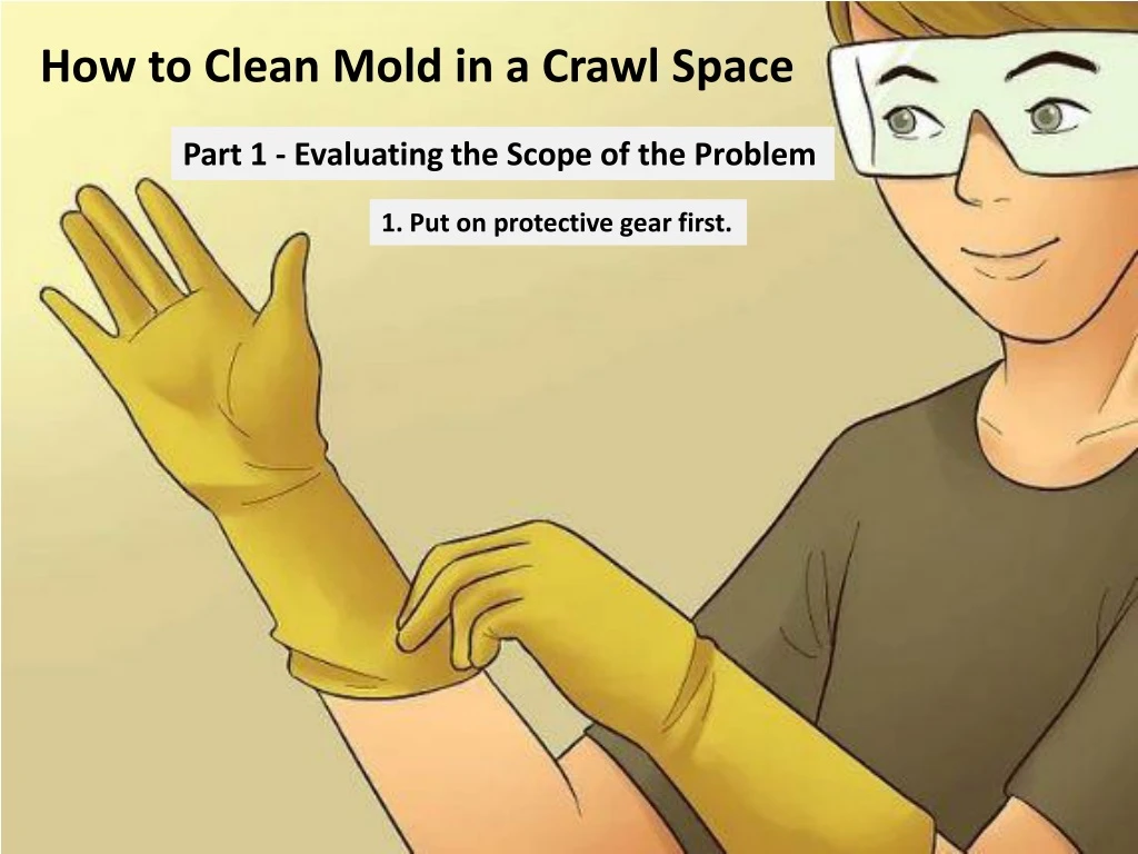 how to clean mold in a crawl space