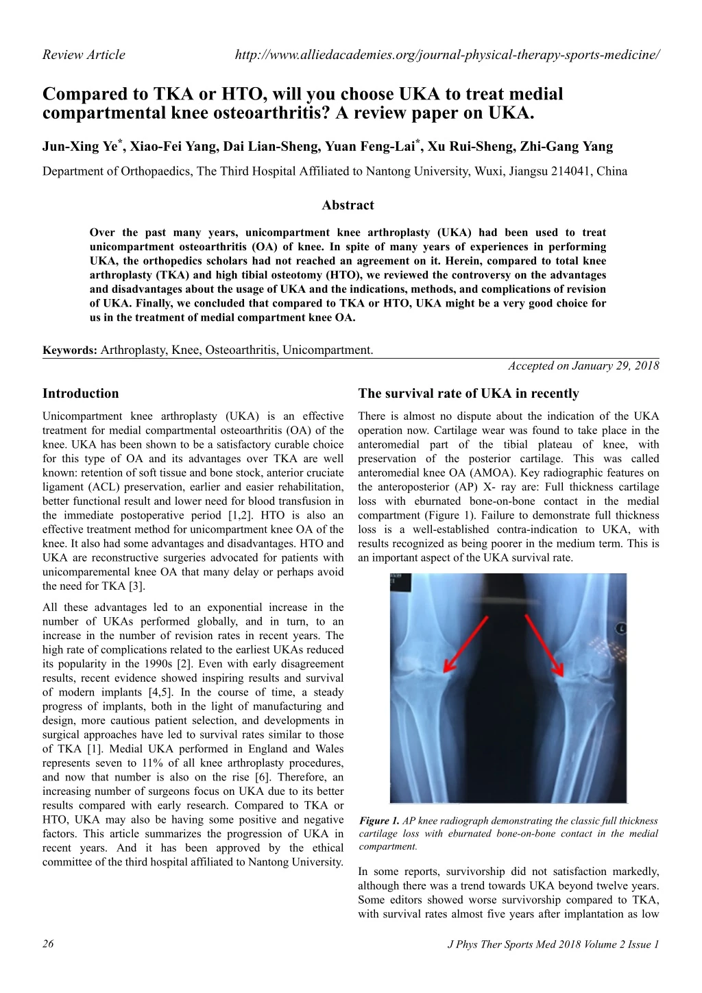 review article