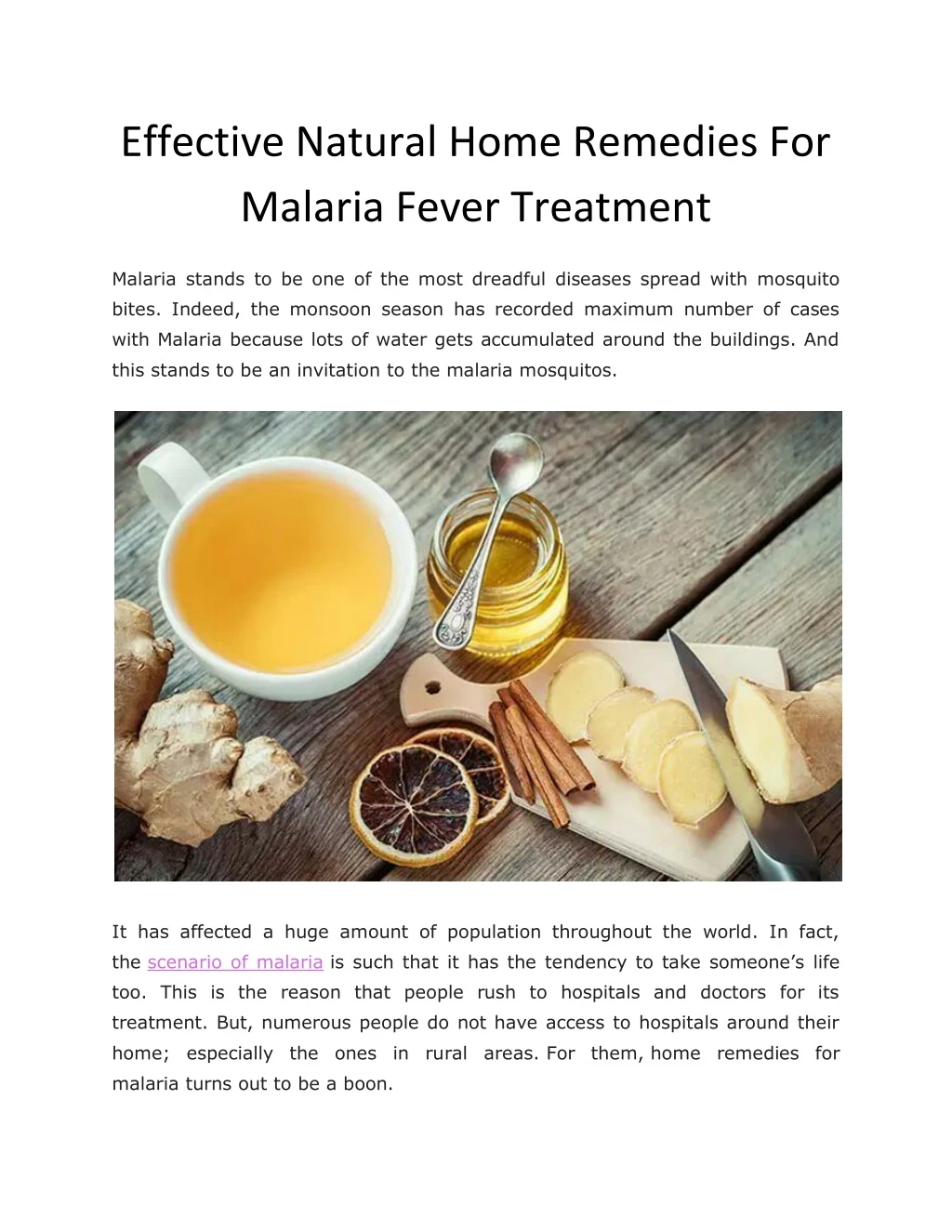 effective natural home remedies for malaria fever