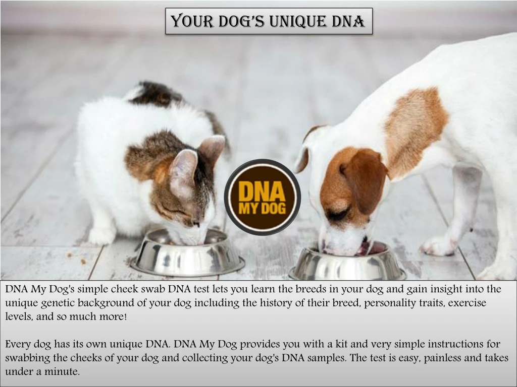 your dog s unique dna