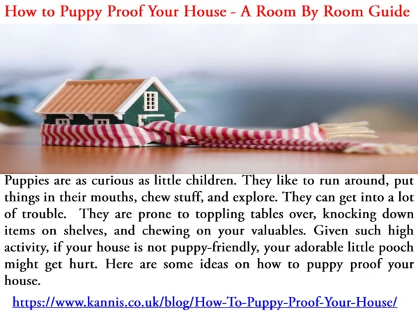 How to Puppy Proof Your House - A Room By Room Guide