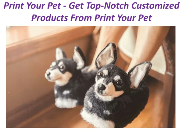 Print Your Pet - Get Top-Notch Customized Products From Print Your Pet