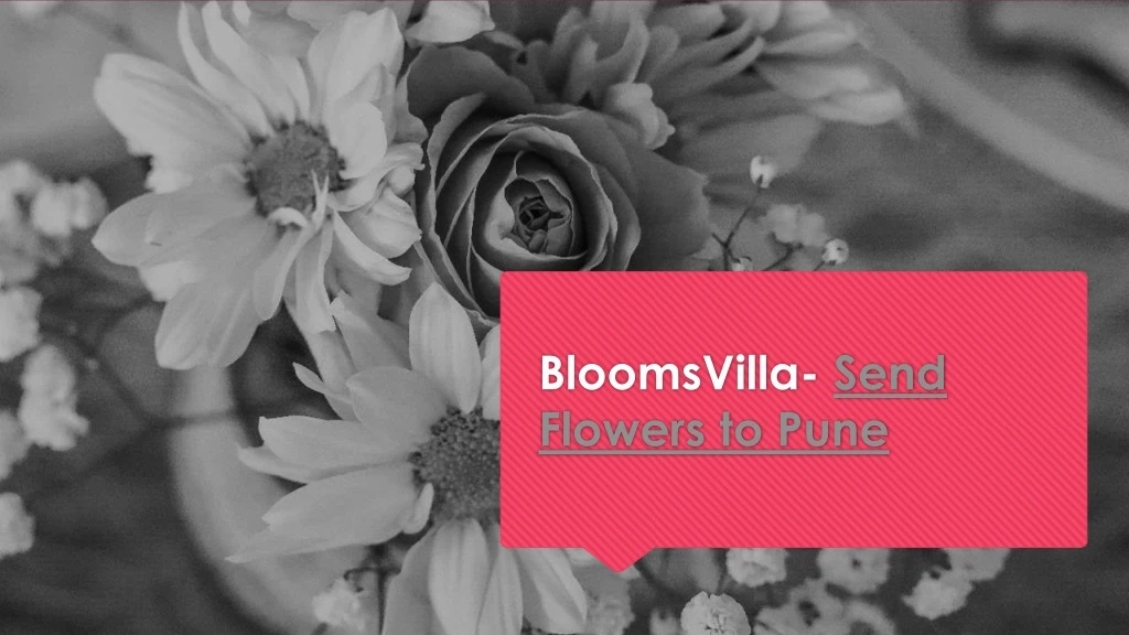 bloomsvilla send flowers to pune