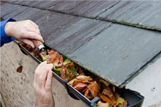 Gutter Cleaning - slide 1