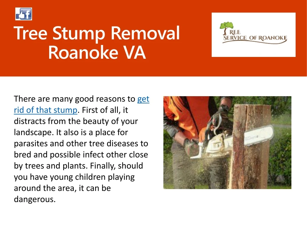 tree stump removal roanoke va