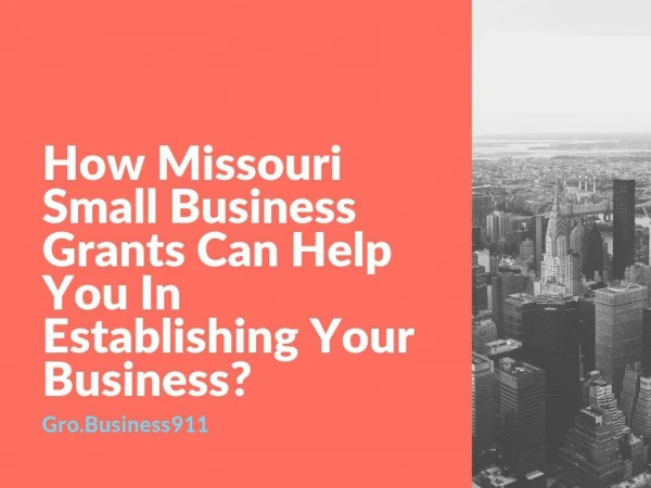 How Missouri Small Businesses Grants Will Help You In Establishing Your Business?