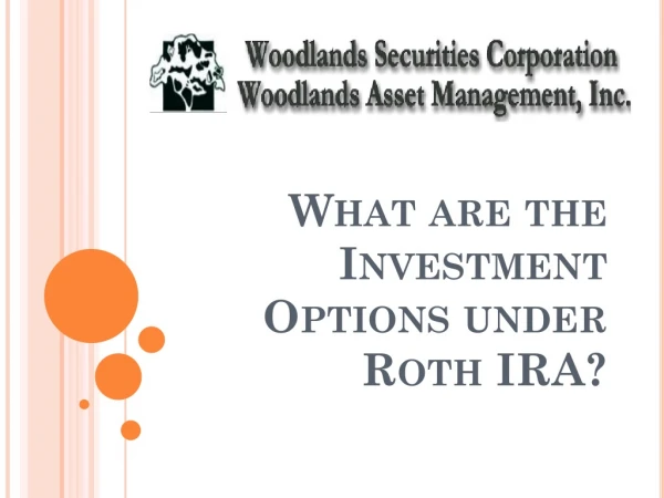 What are the Investment Options under Roth IRA?