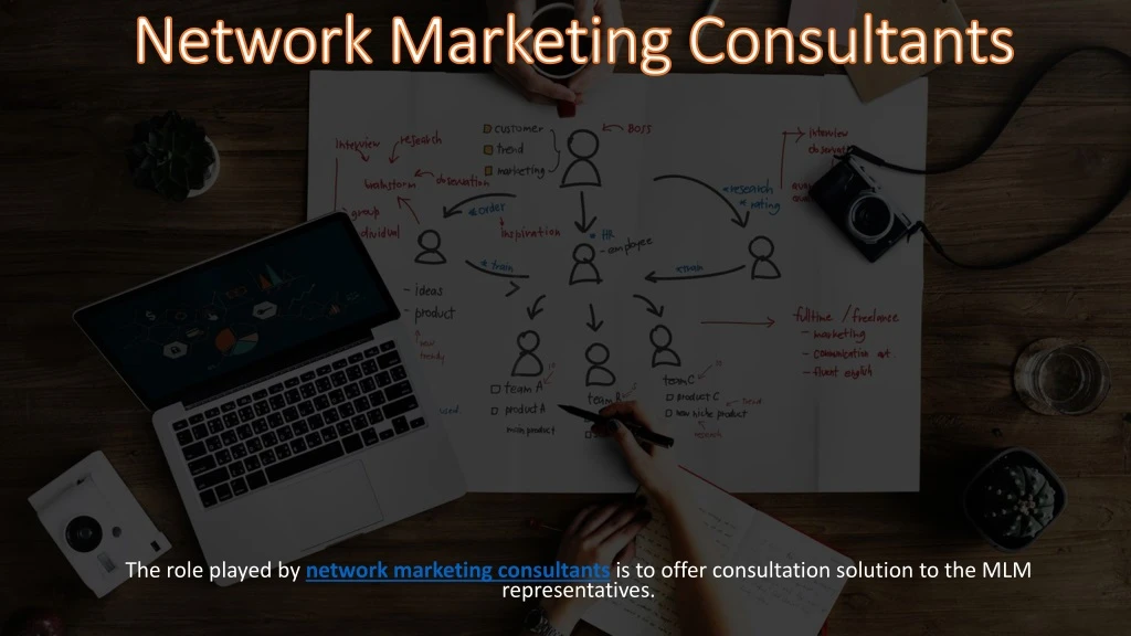 network marketing consultants