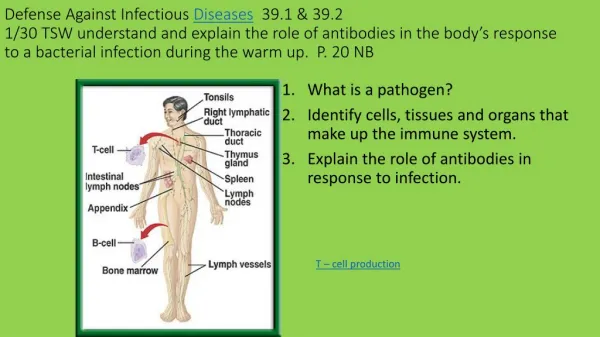 What is a pathogen? Identify cells, tissues and organs that make up the immune system.