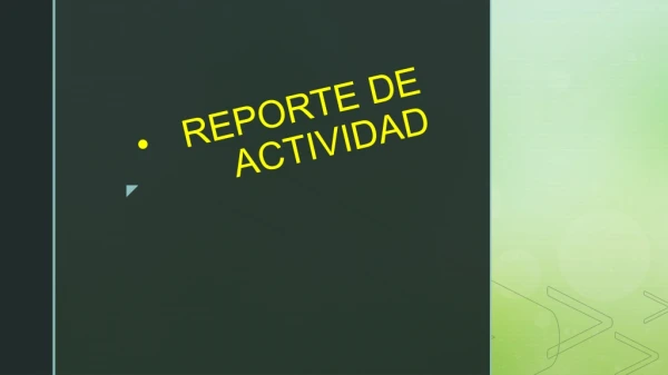 REPORTE DE ACTIVIDAD