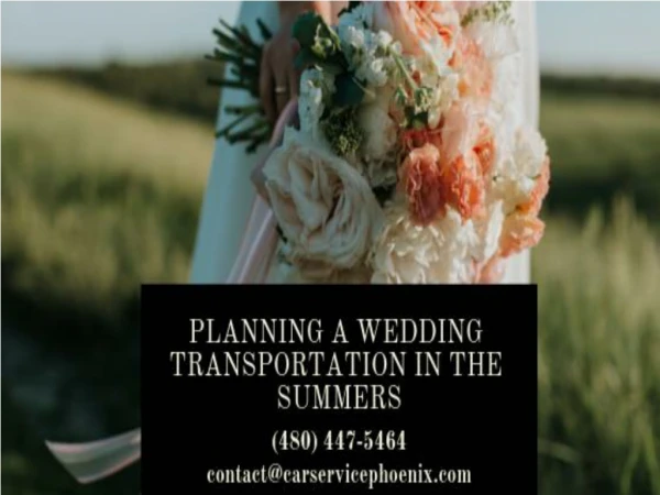 Planning a Wedding Transportation in the Summers
