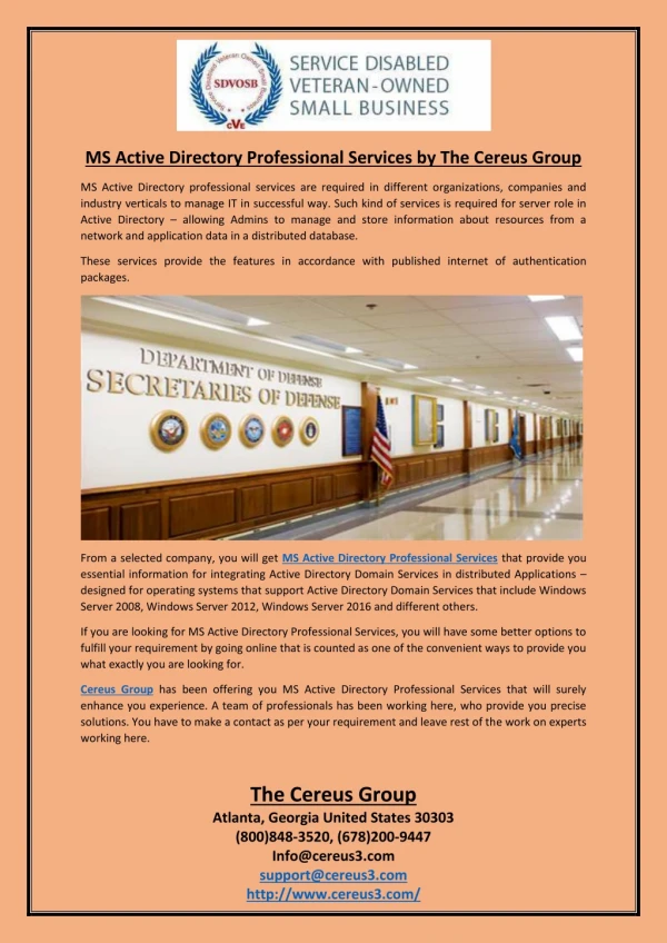 MS Active Directory Professional Services by The Cereus Group