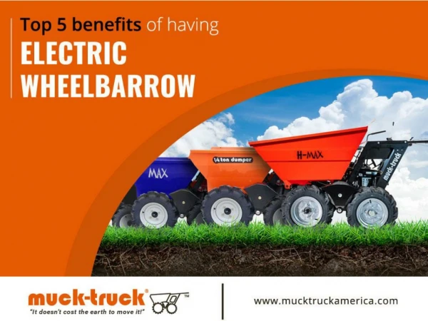 Top Rated Electric Wheelbarrow for Sale