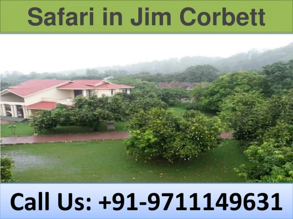 safari in jim corbett