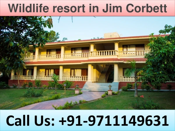 wildlife resort in jim corbett