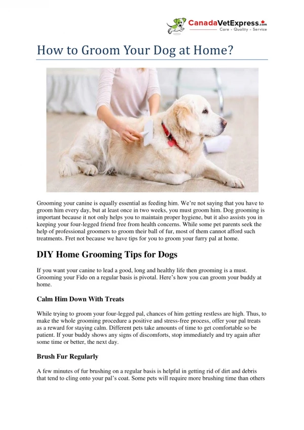 How to Groom Your Dog at Home?