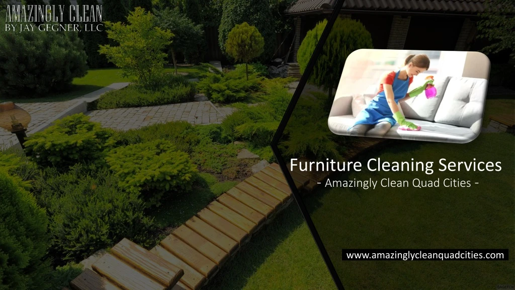 furniture cleaning services