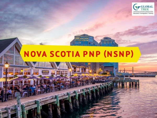Nova Scotia Nominee Program NSPNP consultants in India